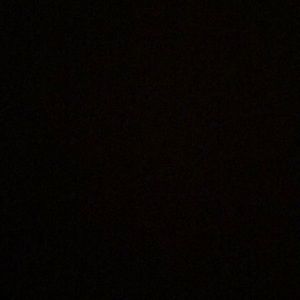 Meet your Posher, Abbey